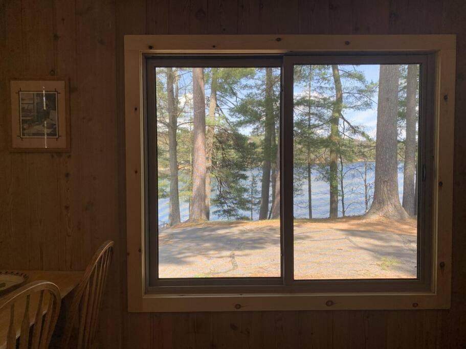 Black Bear Lodge-Bear Trap #3 Saint Germain Екстериор снимка